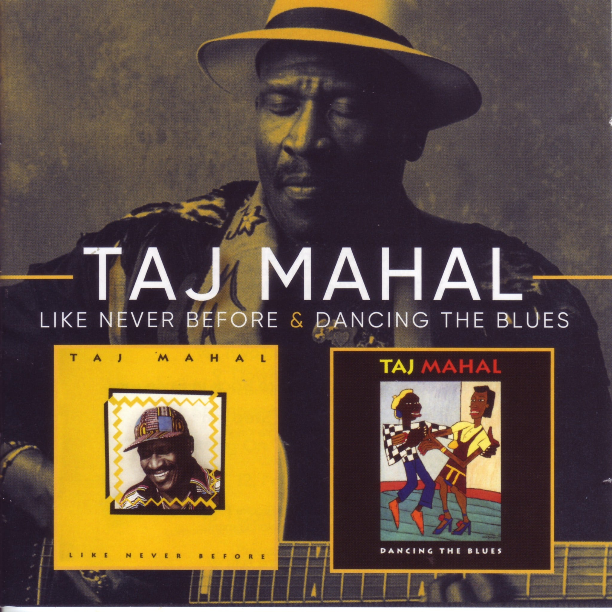 Taj Mahal Blues Folk Art Concert Poster 12x18 