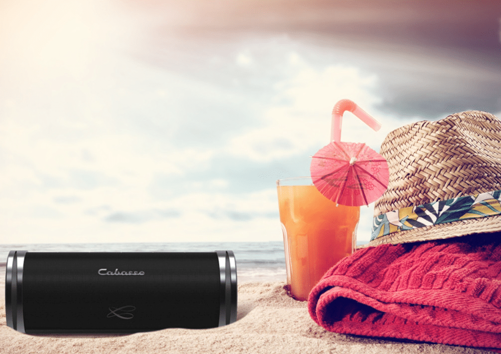 Cabasse Swell Noir - Enceinte Portable Bluetooth : : High-Tech