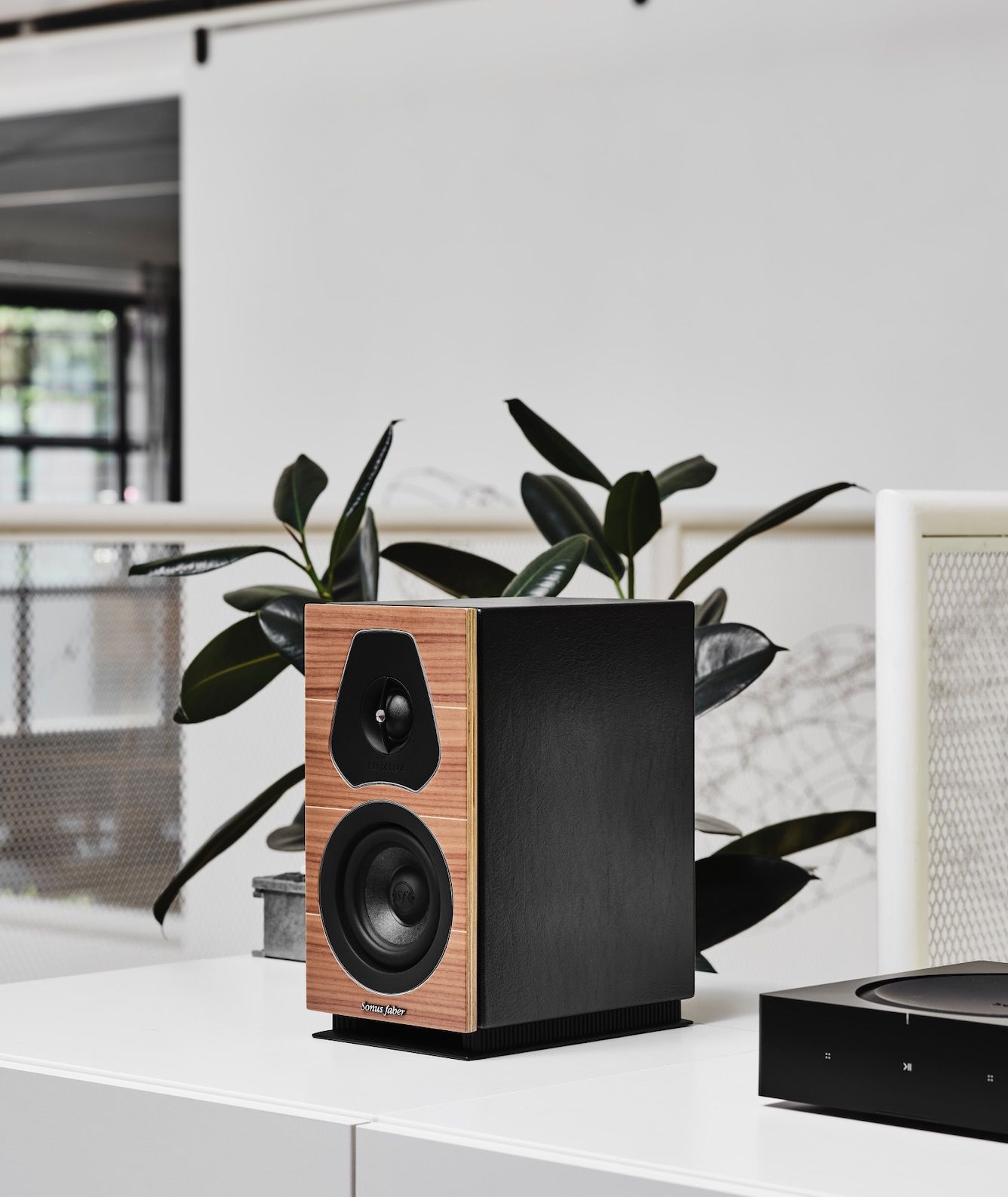 Lumina 1 Speakers From Sonus faber - The Audiophile Man