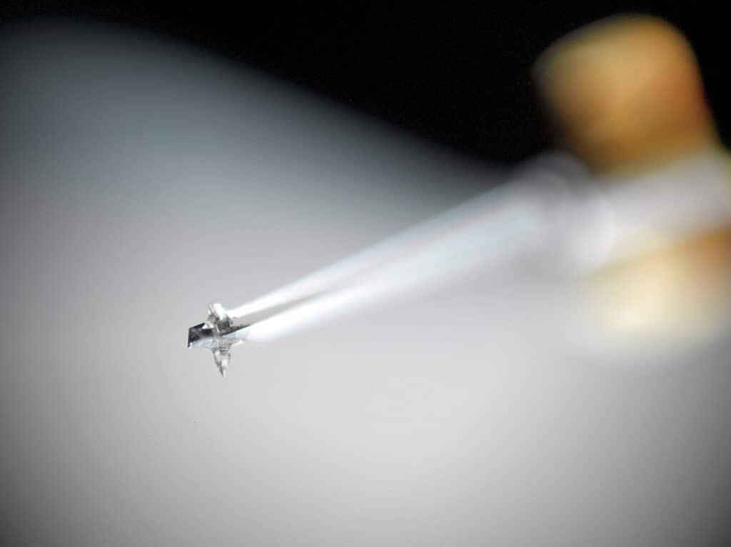 UMAMI BLACK MOVING COIL FROM HANA