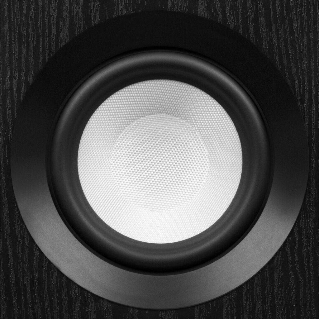 Ri71 REFERENCE SPEAKERS FROM FLUANCE