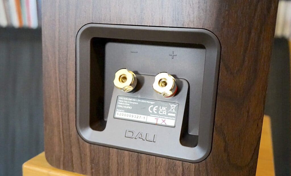 STUPID KUPID? OR DALI’S DELICIOUS DELIGHTS? 